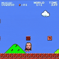 Bobo The Bear Believe In Something GIF by Bobo Memes