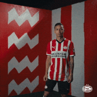 Brazil Eindhoven GIF by PSV