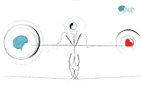 mlp_studio digital agency web agency mind like passion mlp studio GIF