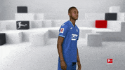 Posing Line Up GIF by Bundesliga