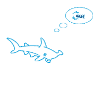 Sea Creature Ocean Sticker by Project AWARE