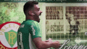 Palmeiras comedia palmeiras risada rindo GIF