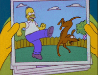 santas little helper simpsons GIF