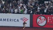 Celebrate New York Yankees GIF by MLB