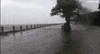matthew GIF by Univision Noticias
