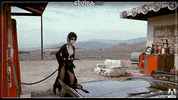 elvira mistress of the dark comedy GIF by Arrow Video