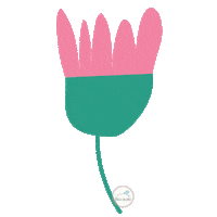 Vuelacolibri rosa flor planta vuelacolibri Sticker