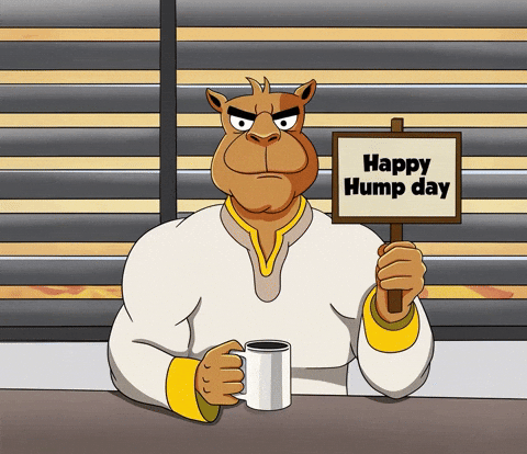 Happy Hump Day GIF by Camel Dad