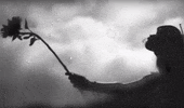 Ani Anidifranco GIF by Righteous Babe Records
