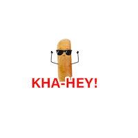 haldiramsnagpur ready to eat frozen food dosa chole Sticker