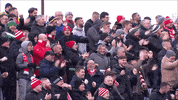 Red Army Applause GIF by Cliftonville Football Club