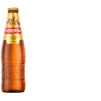Beer Cerveza Sticker by cusquenabroficial