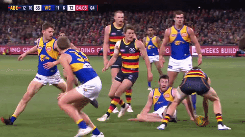 round 15 celebration GIF by Adelaide Crows