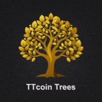 Bitcoin Coin GIF by ttcoinnetwork