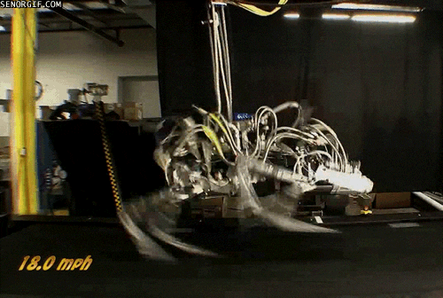 robots treadmill GIF by Cheezburger