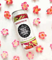 GIF by The Society of Beer Drinking Ladies