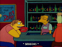 Season 1 GIF by The Simpsons