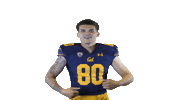 Sticker by Cal Athletics
