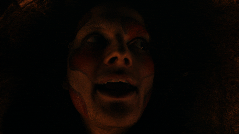 King Gizzard Butterfly GIF by King Gizzard & The Lizard Wizard