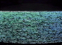 Defectos (1995)