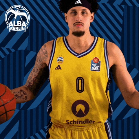 Basketball Michael GIF by ALBA BERLIN