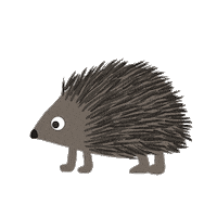 Illustration Hedgehog Sticker