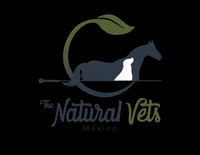 thenaturalvetsmx acupuntura tnv naturalvets thenaturalvets homeopatia fisioterapiacanina veterinaria veterinario GIF