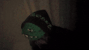 Alabama GIF by Casanova Records