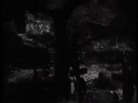 Creature Feature Monster Movies GIF