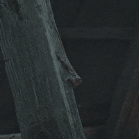 Baby Snake GIF by Slam Disques