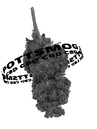 Flowers Cannabis Sticker by PottSmog