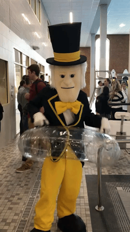 wake forest university pool GIF
