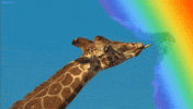 rainbow licking GIF
