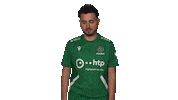 Hannover 96 Vbl Sticker by Bundesliga