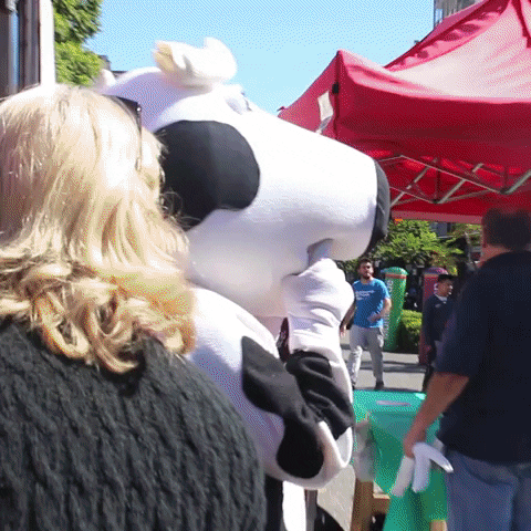 rosarioplus giphyupload GIF