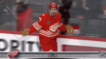Happy Red Wings GIF by NHL