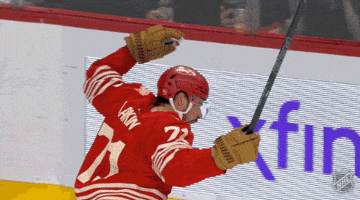 Happy Red Wings GIF by NHL