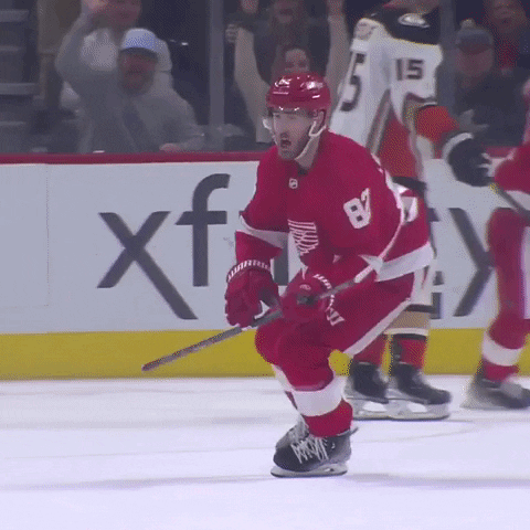 ballysportsdetroit celebration celebrate goal hockey GIF