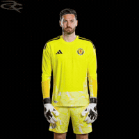 Fifa World Cup Uefa GIF by Respective