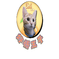 petso-llp logo orange pet line Sticker