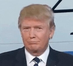 Political gif. Donald Trump’s head retracts into his neck with a confused expression on his face. He then juts his head out and leans forward. He pops his eyebrows up and then looks over to the side with a smirk on his face. Trump then stands up straight again while closing his eyes. He opens his eyes and then his mouth like he’s gasping at something shocking. 