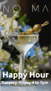 Happy Fun GIF by NoemaNY