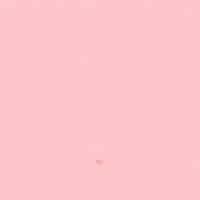 pink rose GIF by aurel
