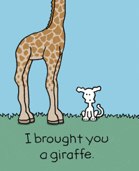 Dogs Love GIF by Chippy the Dog