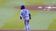 Major League Baseball Sport GIF by Kansas City Royals