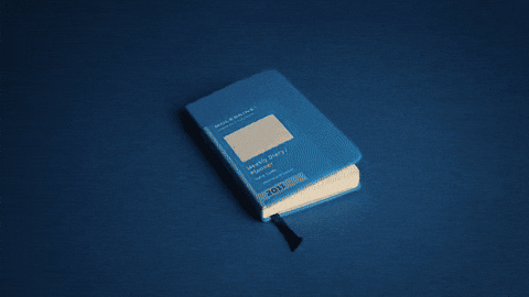 Sailing GIF by Rogier Wieland Studio