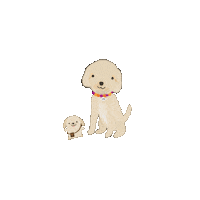 Dog Sticker