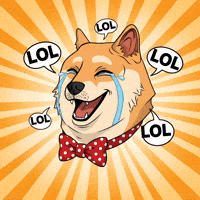 Happy Shiba Inu GIF by Doge Pound