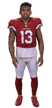 Arizona Cardinals Stickers Sticker by NFL