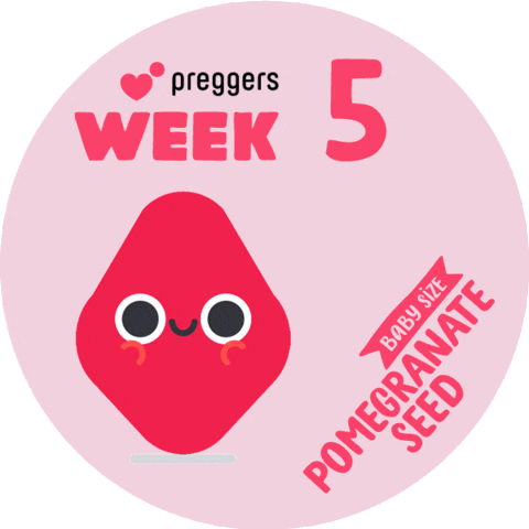Baby Pregnancy Sticker by Preggers